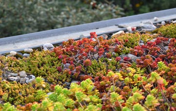 the cost of Waterlip green roof installation