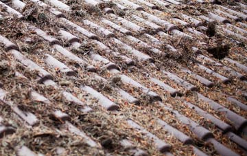 Waterlip roof cleaning companies